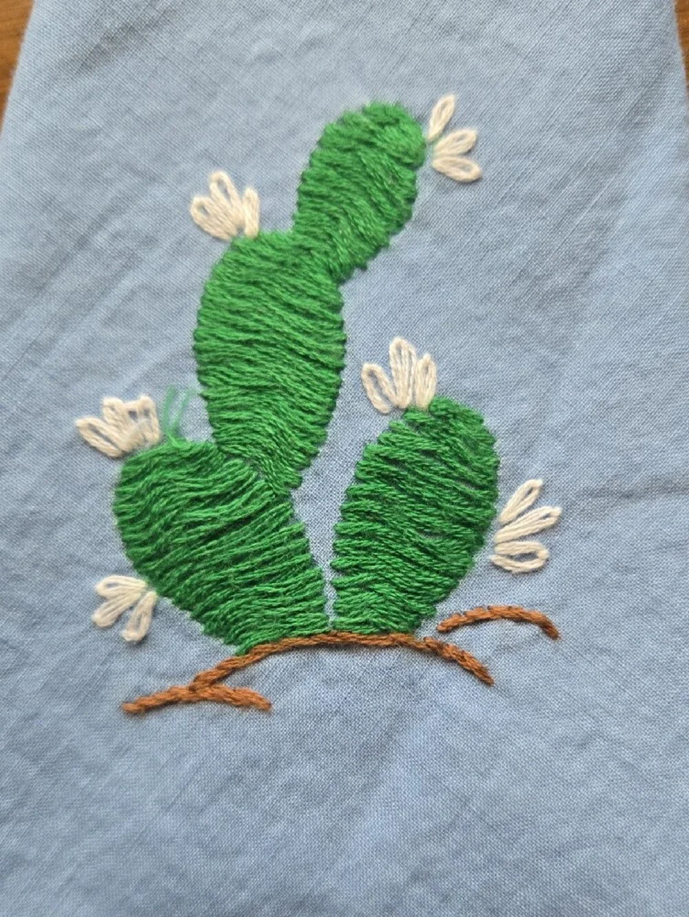Hand-Embroidered Cactus Cocktail Napkins - Multicolor Set